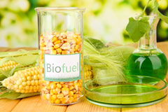 Leslie biofuel availability